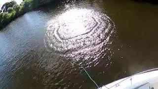 Mullet Pancakes