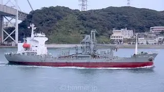 SOLA GRATIA - DLSM Co Ltd, cement carrier