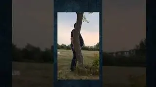 Ark Mobile 2024 memes Пурловия в Арк мобайл #shorts #memes #cute #ark #арк