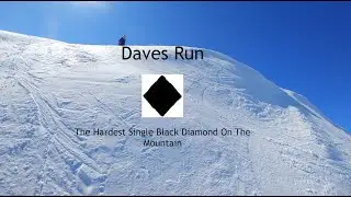 Dave's Run Mammoth 2021