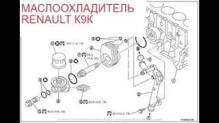 Замена маслоохладителя Renault Kangoo K9K