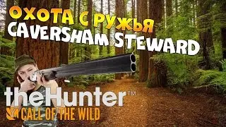 theHunter call of the wild #13 - Охота с ружья CAVERSHAM STEWARD