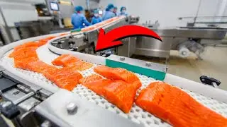 🐟 ¿CÓMO se FABRICA el SALMÓN?🥡