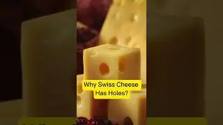 Why Does Swiss Cheese Have Holes?