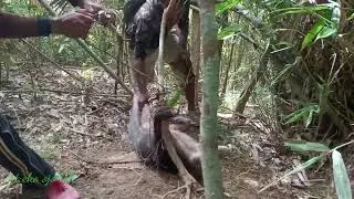 momen menegangkan saat mengamankan si dua sejoli,#jerat babi hutan#
