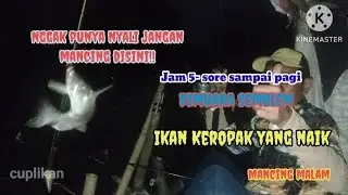 Nggak punya nyali Jangan mancing disini‼️@PLTFishing #asalmancing#anglerppu #UTCarModification