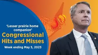 Lesser prairie home companion — Congressional Hits and Misses