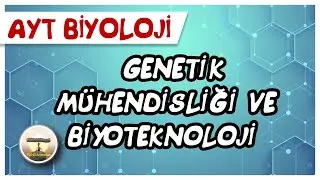 AYT Biyoloji | Genetik Muhendisligi ve Biyoteknoloji #sayfa144
