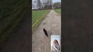 Прогулки 01.01.23г