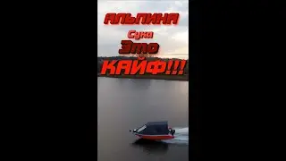 АЛЬПИНА СУ.......