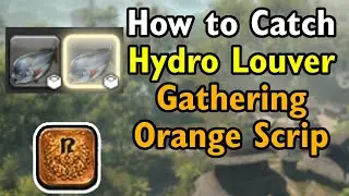 Hydro Louver - Orange Gathering Scrip - FF14 Dawntrail