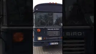 Pikes Blue Bird Bus - A bird learns to fly! Part 1