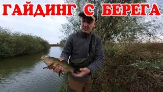 ГАЙДИНГ С БЕРЕГА - ЛИНЬ, КАРАСЬ, ОКУНЬ, ЩУКА, СУДАК 