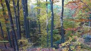 Dietrich Buxtehude - Erfreue dich, Erde! Du Himmel erschall! (BuxWV 26)