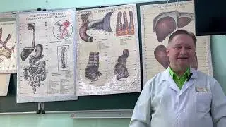 Лекция 