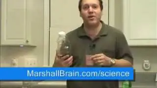 How much sugar is in a can of soda?