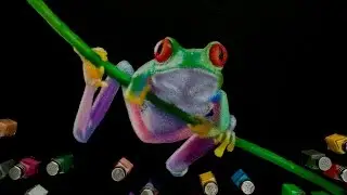 Tree Frog - Salt Art