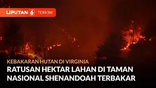 Kebakaran Hutan di Negara Bagian Virginia Masih Belum Bisa Dikendalikan | Liputan 6