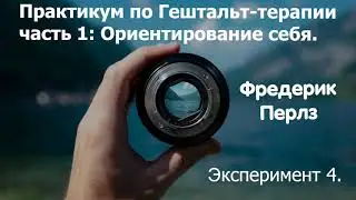 Практикум по гештальт-терапии.