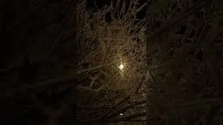 Только счастья чужого не надо мне...