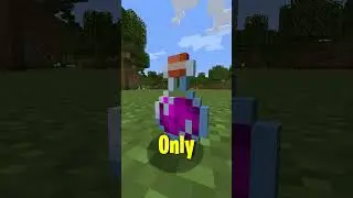 The Rarest Potion In Minecraft! #minecraftshorts
