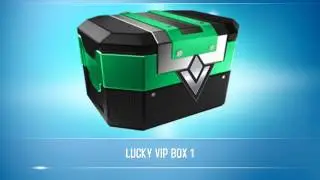 Opening a VIP (level 1)box