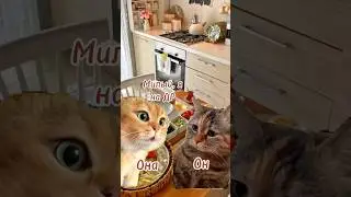 #отношения #юмор