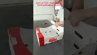 Customised PP corrugated plastic packaging boxes