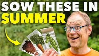 Double Your Harvests: Sow These 5 Crops in July