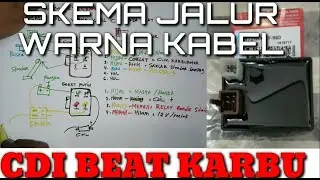 Skema Jalur Warna Kabel Pin Koneksi CDI Beat Karburator @Woeychannel