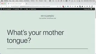 A Beginners Guide to WordPress Plugin Development