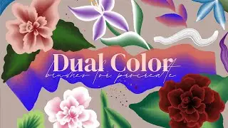 Dual Color brushes for Procreate - Complete Walkthrough and Tutorial