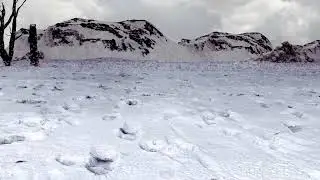 Falling snow_Houdini, redshift. Particle simulation, fog, environment, compositing.