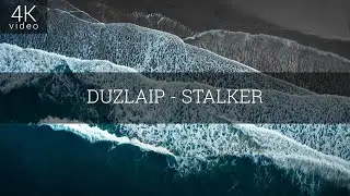 Релиз для музыкального трека Duzlaip - Stalker