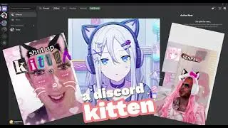 𝐁𝐞𝐜𝐨𝐦𝐞 𝐚 𝐃𝐢𝐬𝐜𝐨𝐫𝐝 𝐤𝐢𝐭𝐭𝐞𝐧 ( Tutorial )
