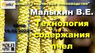 19.02.22 г. Z-рация, канал 