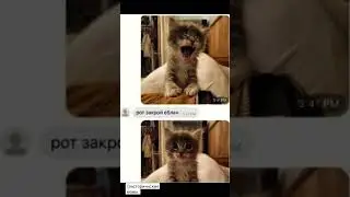 #мем #рекомендации #историческиемемы