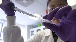 Chemists Career Video