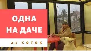 Огород в начале апреля. Дача на Урале