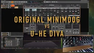 The video, you don't want to see (Minimoog vs. VST Plugin)