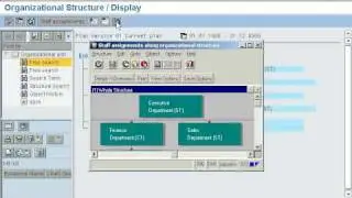 SAP HR Configuration Preview 4.avi