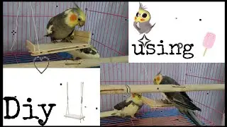 | Bird Toy Diy | Easy | Using Ice Cream Stick | ♡-♡ | ○-○ |