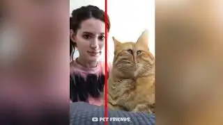 Unexpected Time Warp Scan Animals   Cute and Funniest Pets' Reaction 🐱🐶