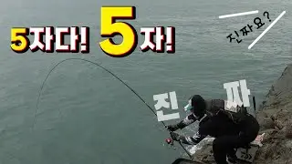 처음가는 곳 가도 차별없고  평균조황 좋은곳에서 감성돔과 돌돔사냥