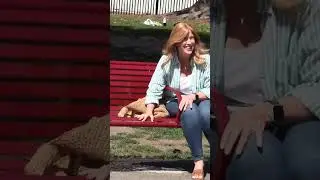 Kind lady helps a hungry child #shorts