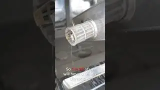 Dishwasher Deep Clean