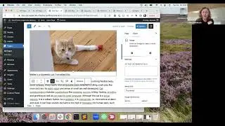 What's new in WP 6 2 and Full Site Editing