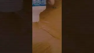 пури румчик