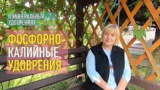 Фосфорно-калийные удобрения: мой опыт, мои наблюдения и рекомендации. Как, когда и зачем вносить.