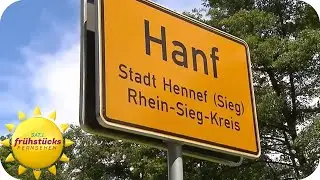 Wo sind die Hanf-Schilder? Ein Dorf hat ein Schilder-Klau-Problem | SAT.1 Frühstücksfernsehen